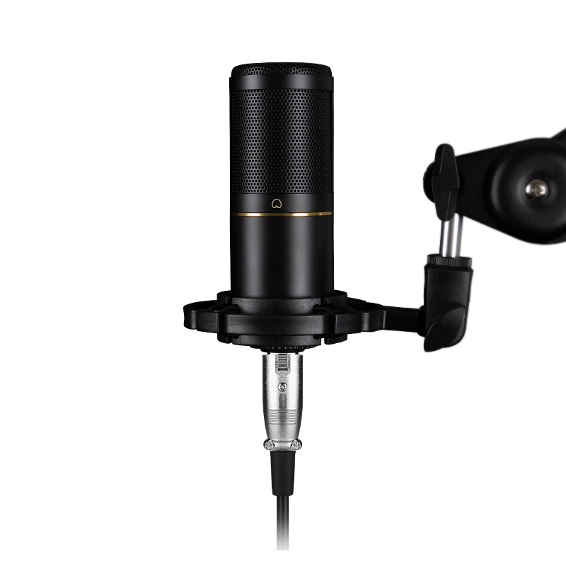 Streaming Mic Condenser - Professionelles XLR-Kondensatormikrofon für Studioaufnahmen, Podcasting, Musik,