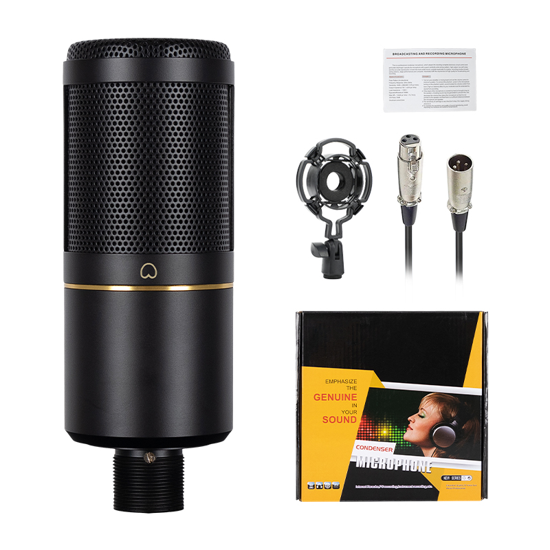 Professionelles XLR-Kondensato – Streaming Mic Condenser Bewertung und Preis