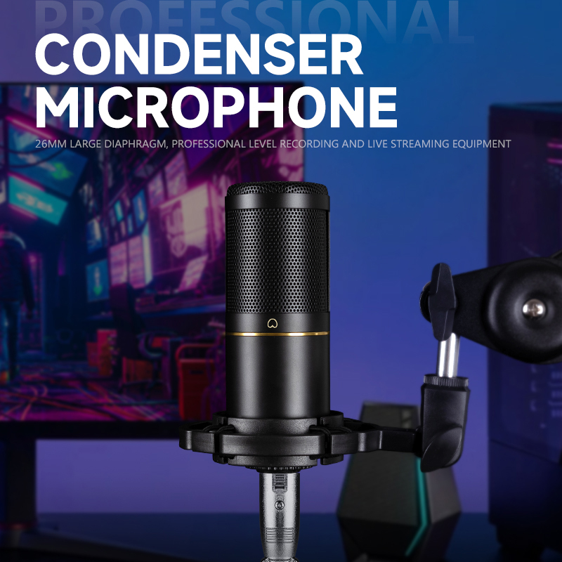 Professionelles XLR-Kondensato – Streaming Mic Condenser Bewertung und Preis